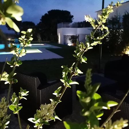 GaeirasPerola D'Obidos T3别墅 外观 照片