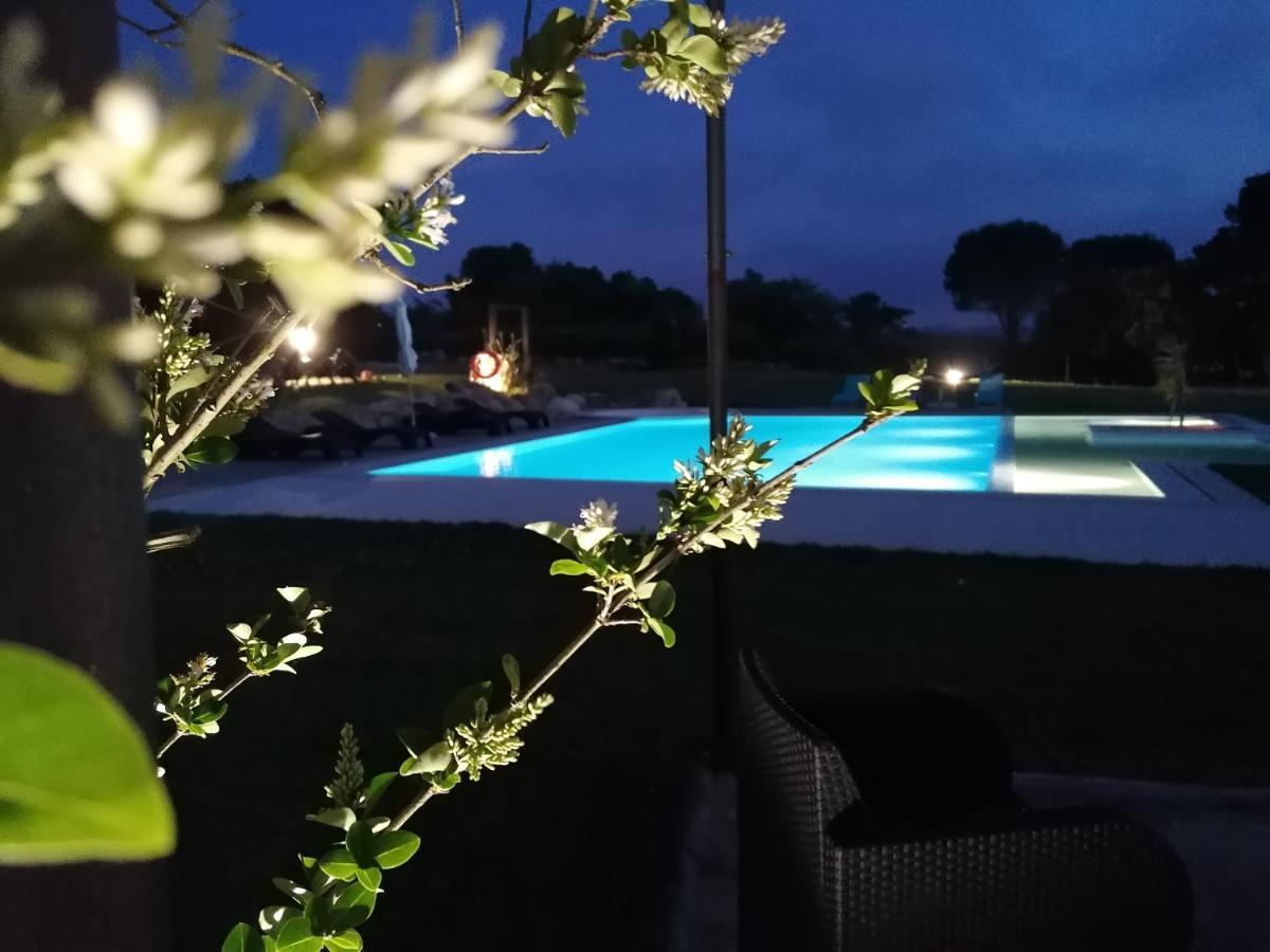 GaeirasPerola D'Obidos T3别墅 外观 照片